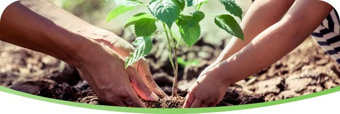 InvestSMART Ethical Growth Portfolio InvestSMART Ethical Growth Portfolio